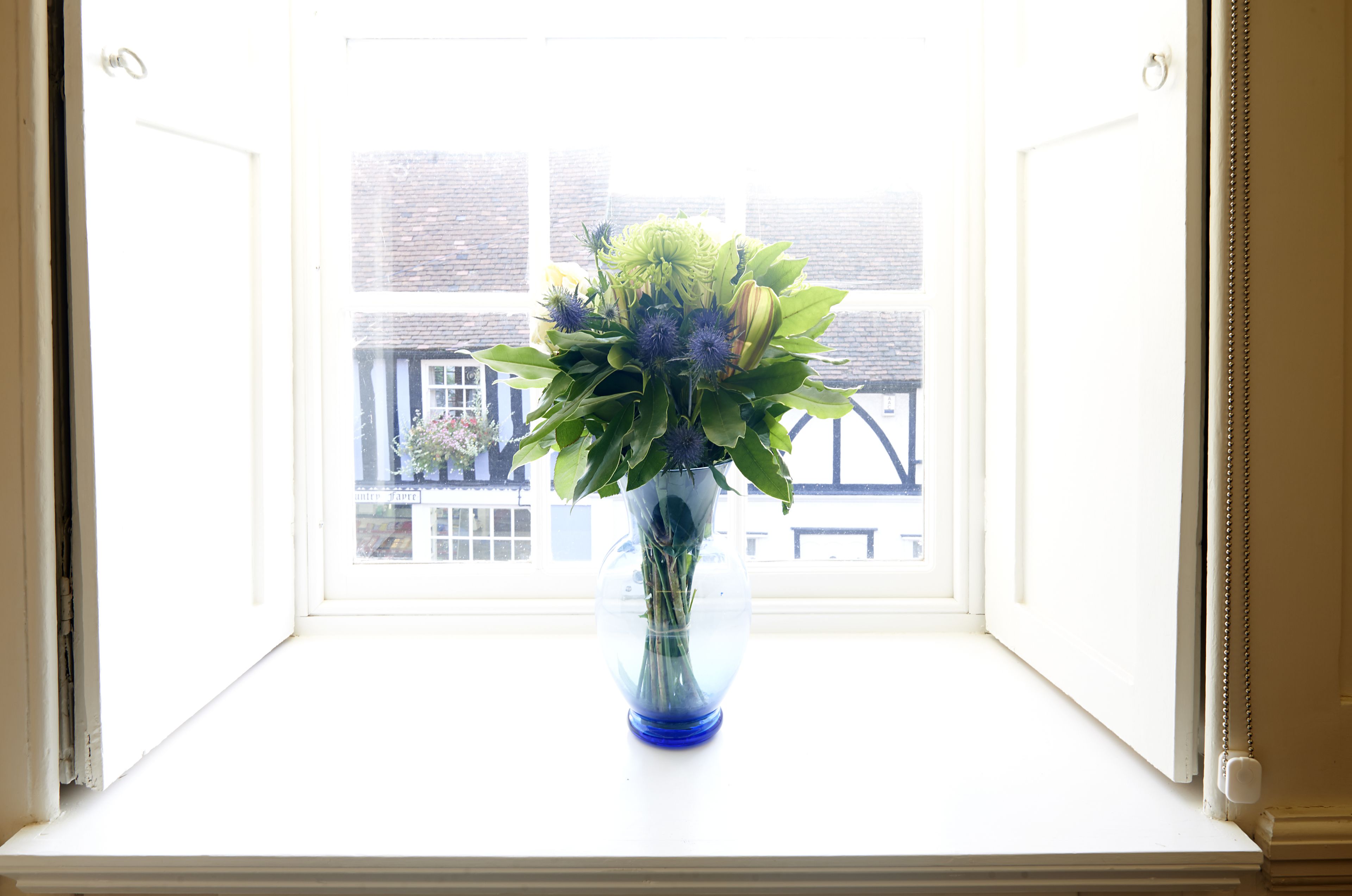 A vase with flowers on a windowsill.
