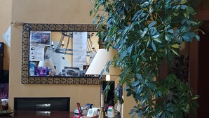 A reception desk with a Samsung TV, a lamp, and a potted plant. - Hotel Damian (Trofarello)