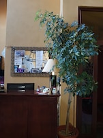 Uma receção com uma televisão Samsung, uma lâmpada e um vaso de planta.