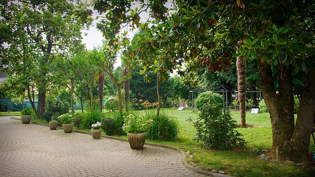 A paved pathway lined with large planters and trees, leading to a grassy area with a gazebo. - Hotel Damian (Trofarello)