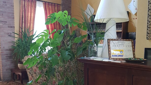 A room with a wooden cabinet, a lamp, a plant, and a window with curtains. - Hotel Damian (Trofarello)