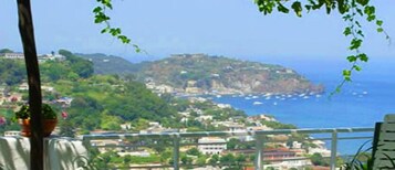 Vista desde la propiedad