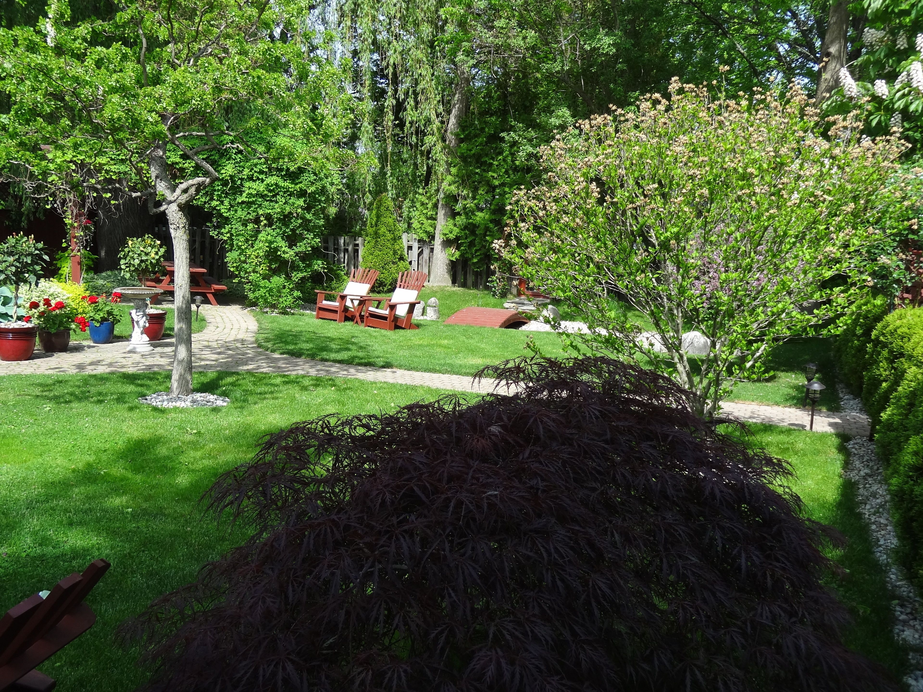 A well-maintained garden with a lawn, potted plants, and outdoor furniture.