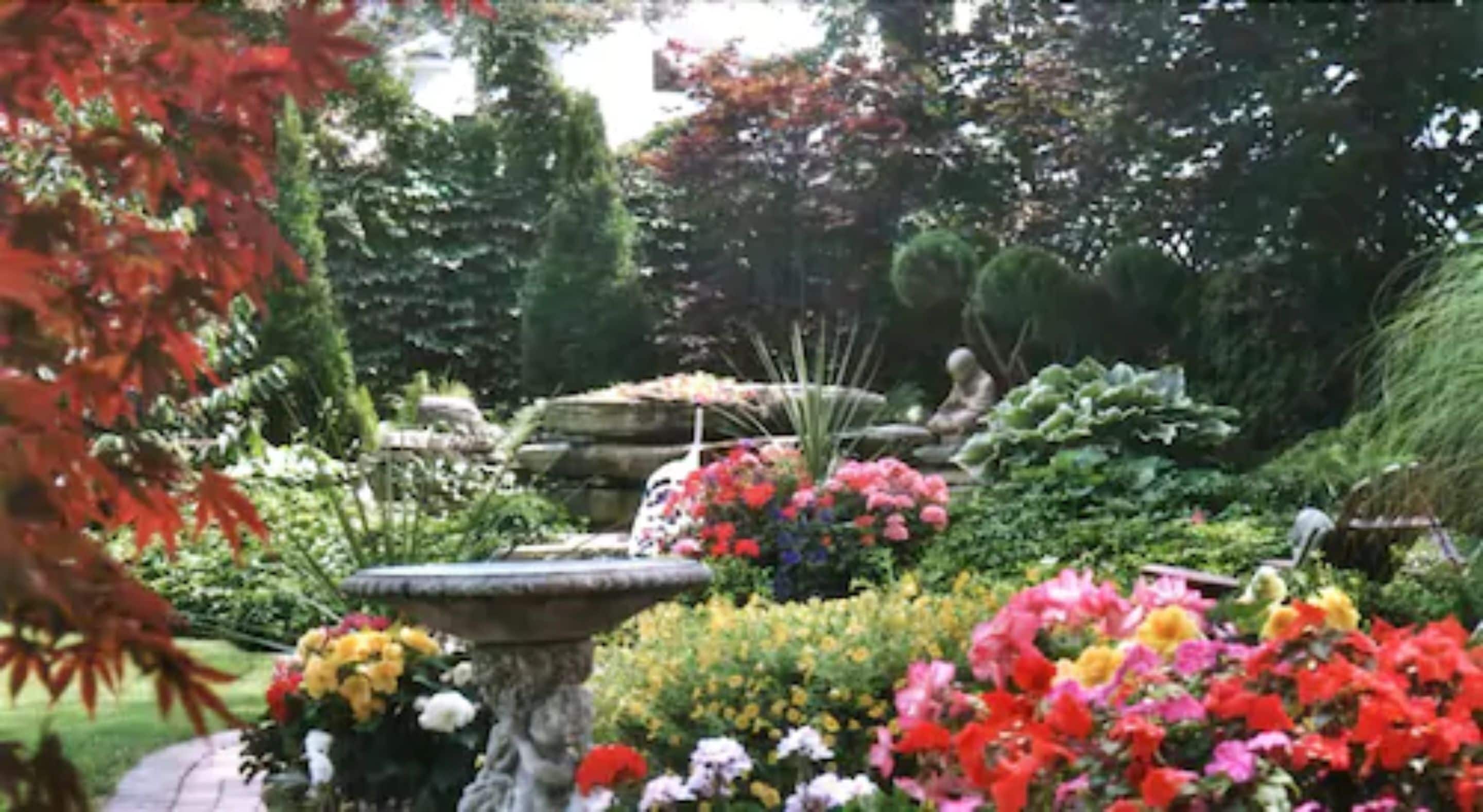 Garden