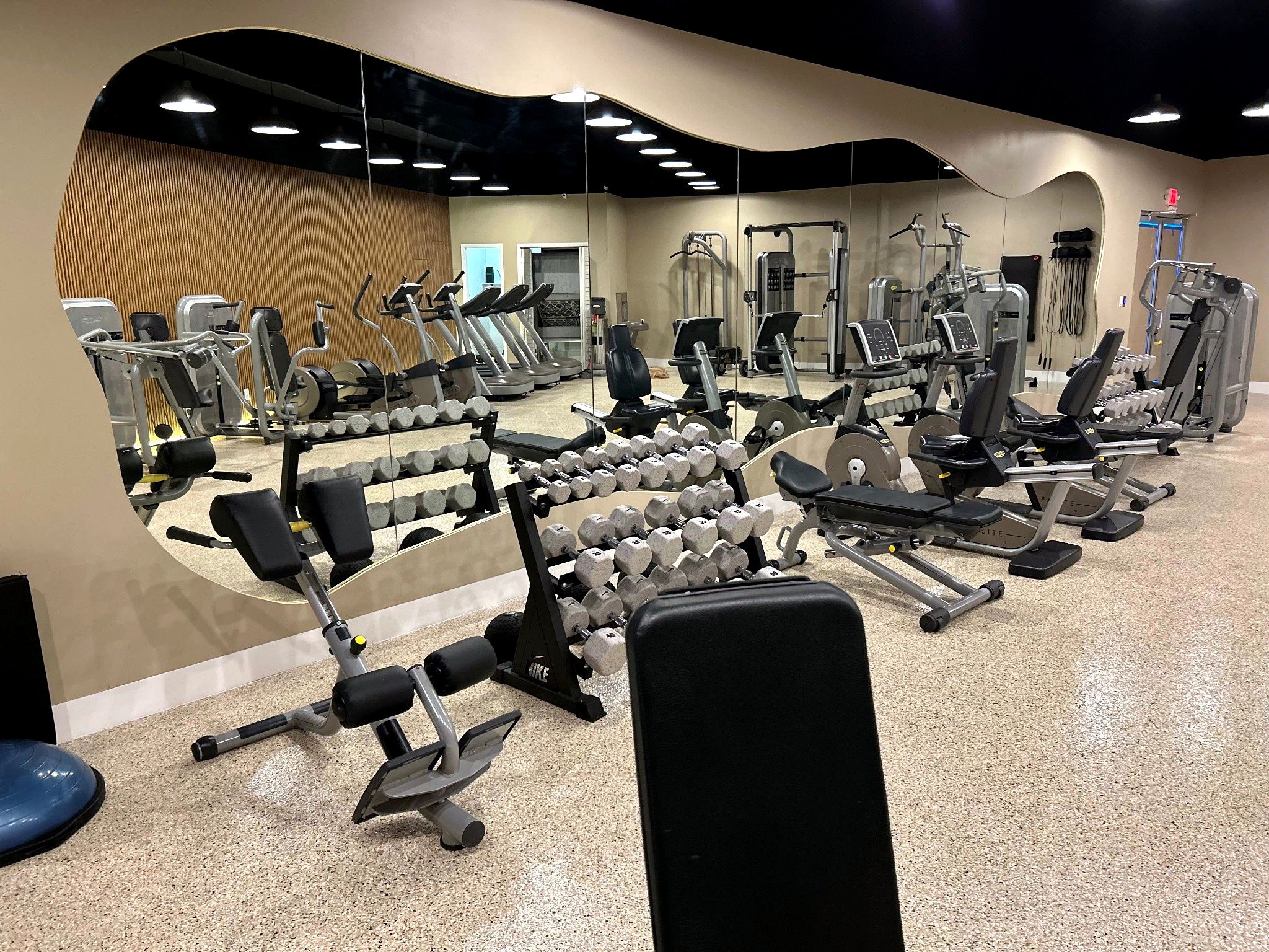 A gym with various exercise equipment, including dumbbells, treadmills, and weight machines.