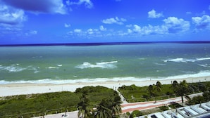 A beach view with a pathway leading to the shore, palm trees, and a clear blue sky. - Castle Beach Suites by MiaRentals (Miami Beach)