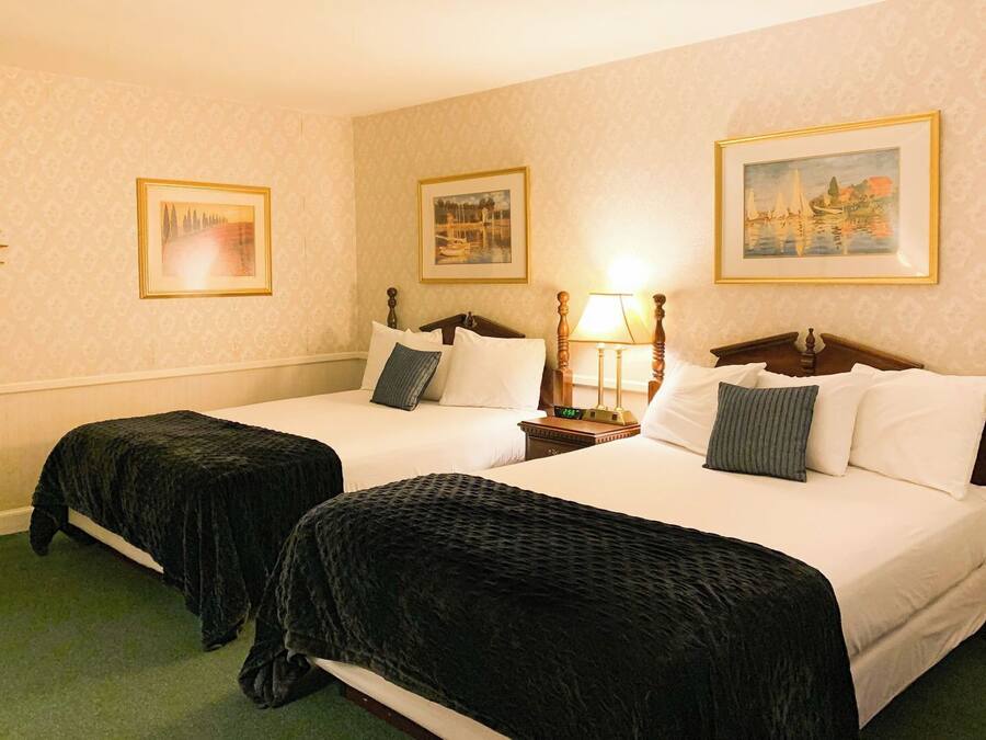 A hotel room with two beds, each with a wooden headboard, white bedding, and dark throw blankets. There are three framed pictures on the walls, a nightstand with a lamp, and a clock showing 2:59.