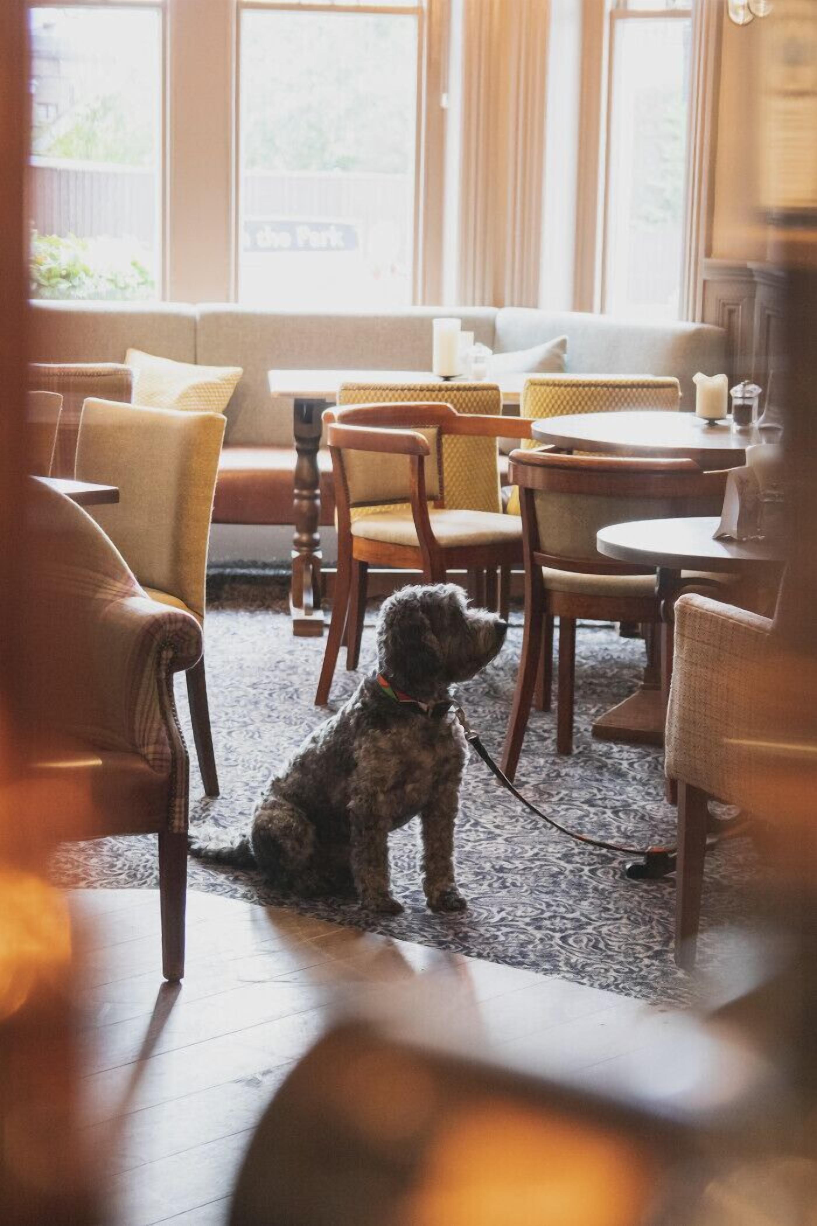 Photo - Inn in the Park