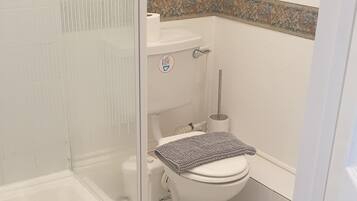 A bathroom with a glass shower enclosure, a toilet, and a sink.