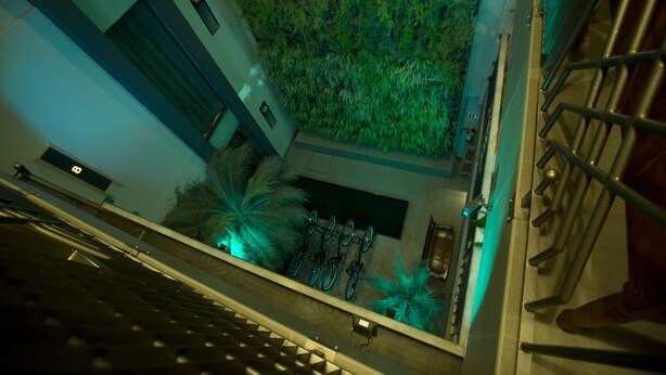 A modern interior with a staircase, a wall-mounted bicycle rack, and a green wall with plants.