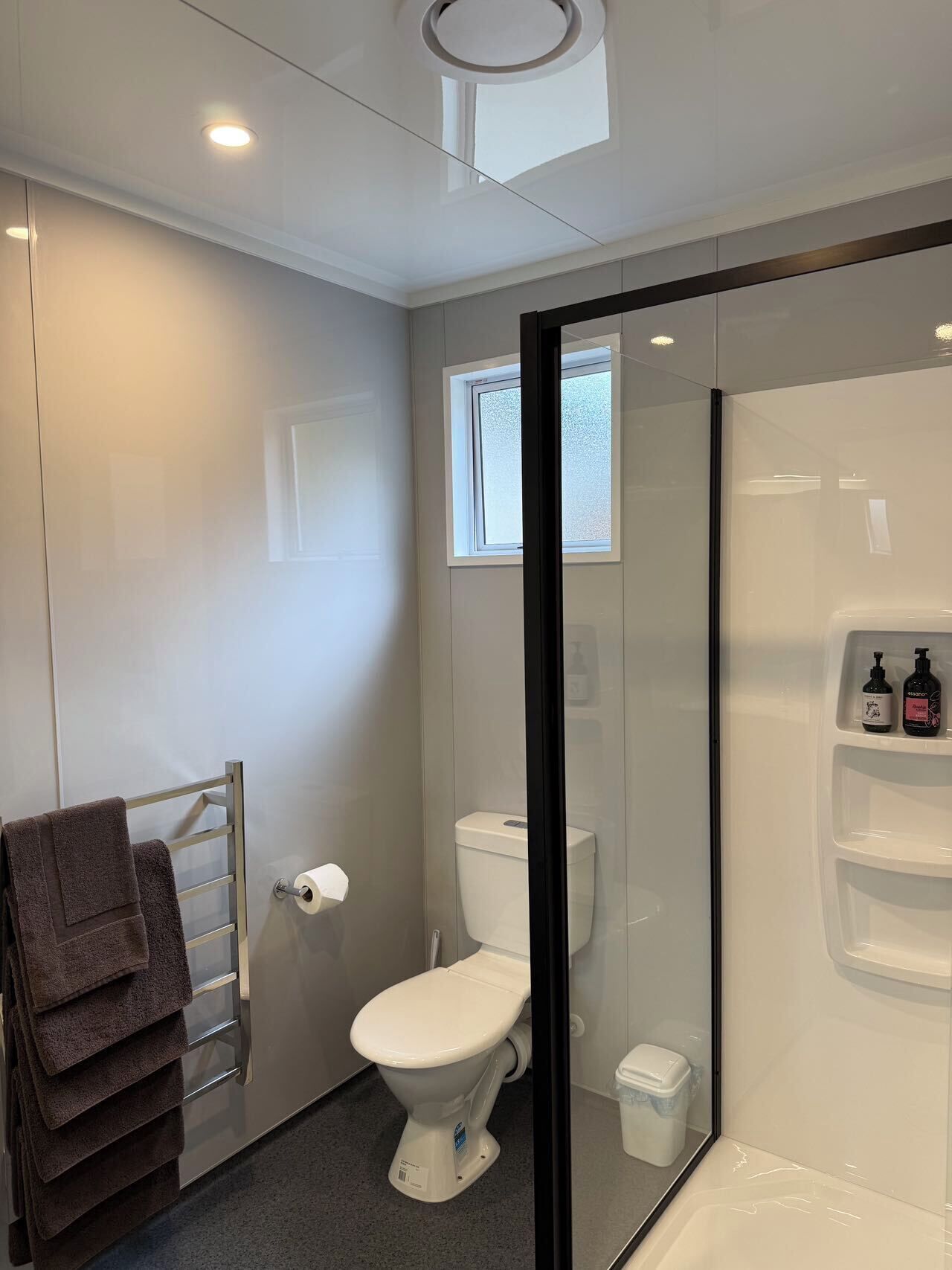 A modern bathroom with a glass shower enclosure, a toilet, and a towel rack.