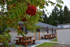 Garden - Amber Court Motel (Te Anau)
