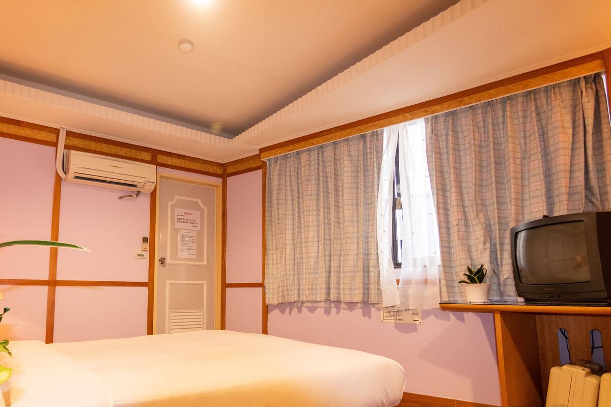A room with a bed, a television, a potted plant, and a window with curtains.