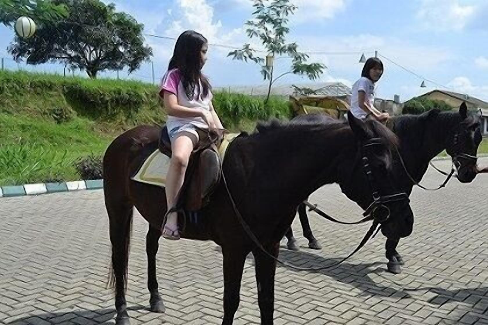 Two individuals riding horses on a paved path with greenery in the background.