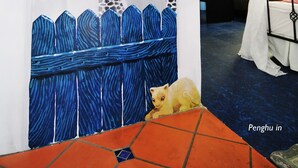 A room with a mural of a coastal scene, a bed with white bedding, and a small yellow cat on the floor. - Greek frontier villa (Magong)