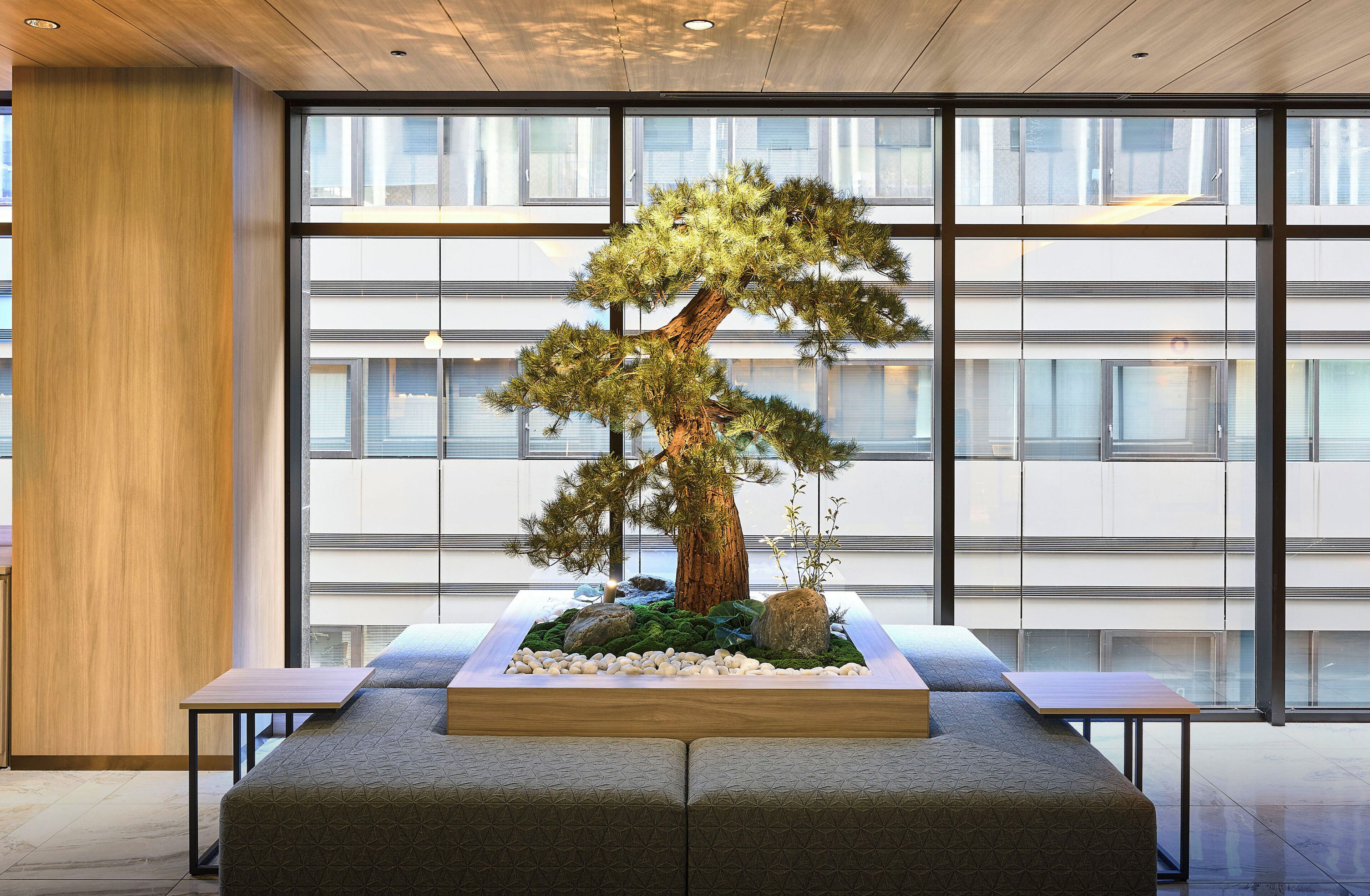 Photo - Daiwa Roynet Hotel Ginza PREMIER Renewal Open March 9th, 2026