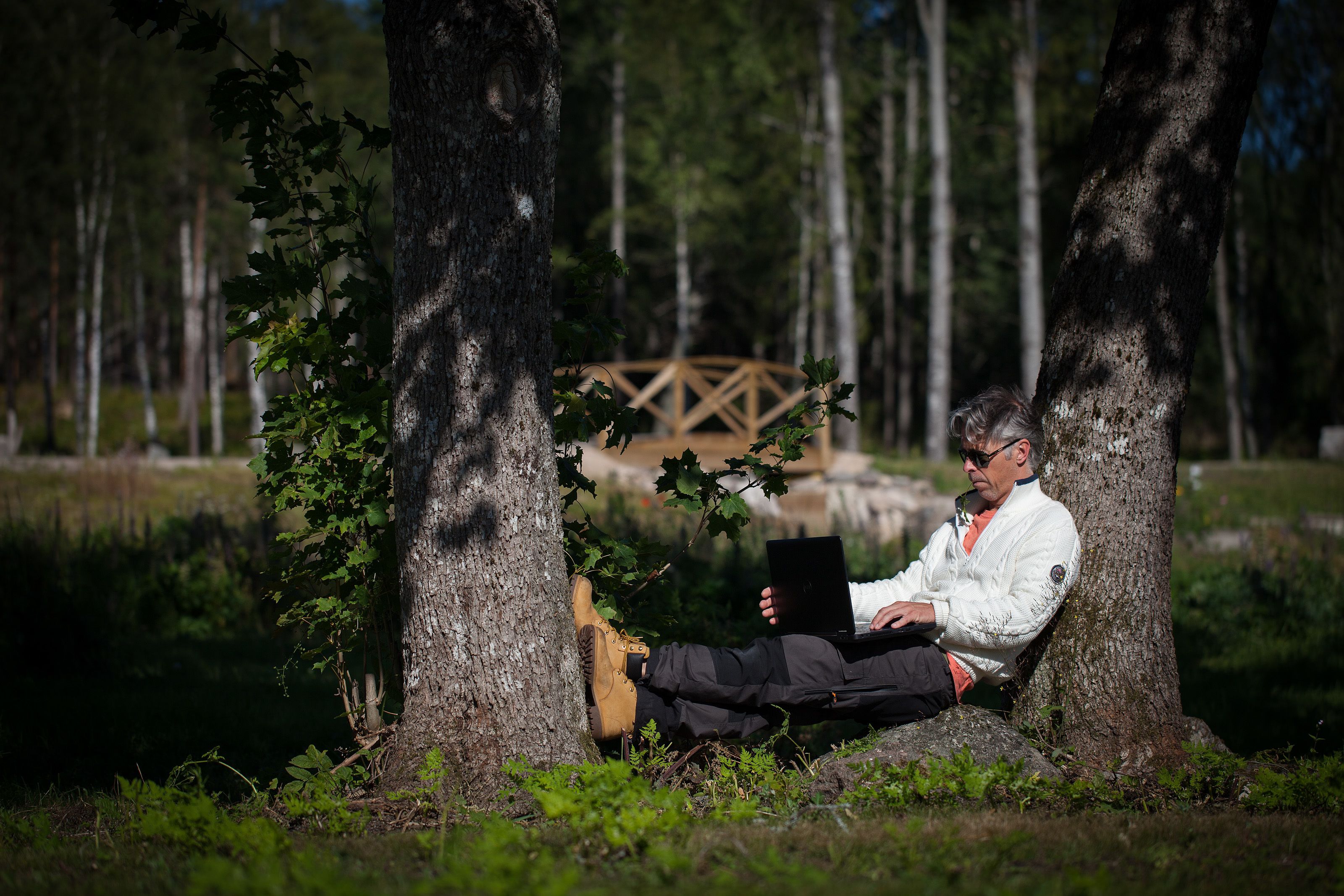 A person sitting on a rock in a forested area with trees and a wooden bridge in the background.