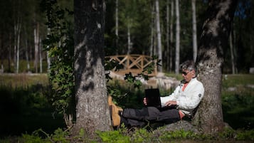 A person sitting on a rock in a forested area with trees and a wooden bridge in the background.