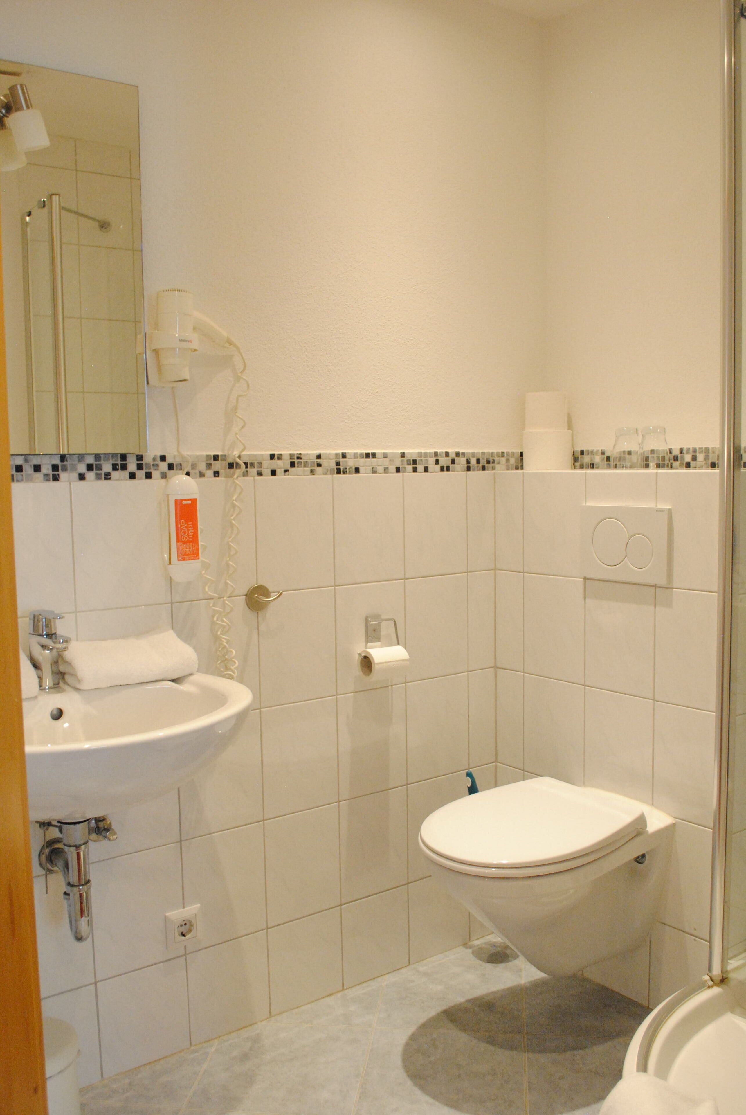 Une salle de bain avec un lavabo, des toilettes et une douche.