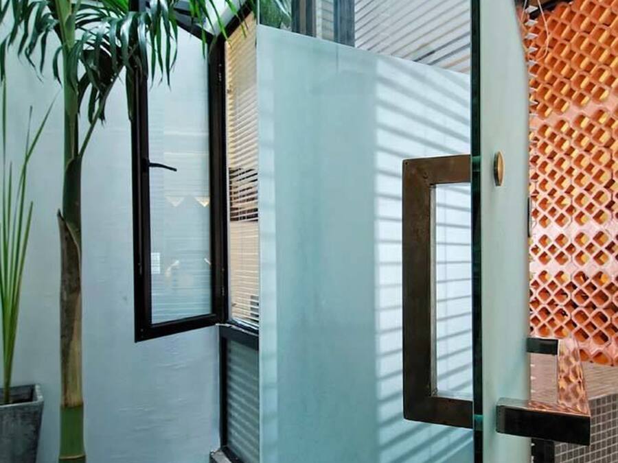 A modern room with a large window, a potted plant, and a textured wall.