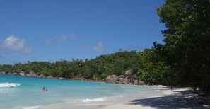 Una playa con agua turquesa cristalina, una orilla arenosa y exuberante vegetación verde.