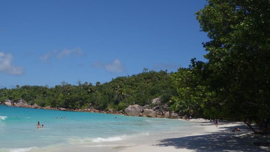 Forest Lodge Guest House