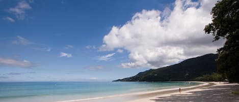 Beach nearby, white sand