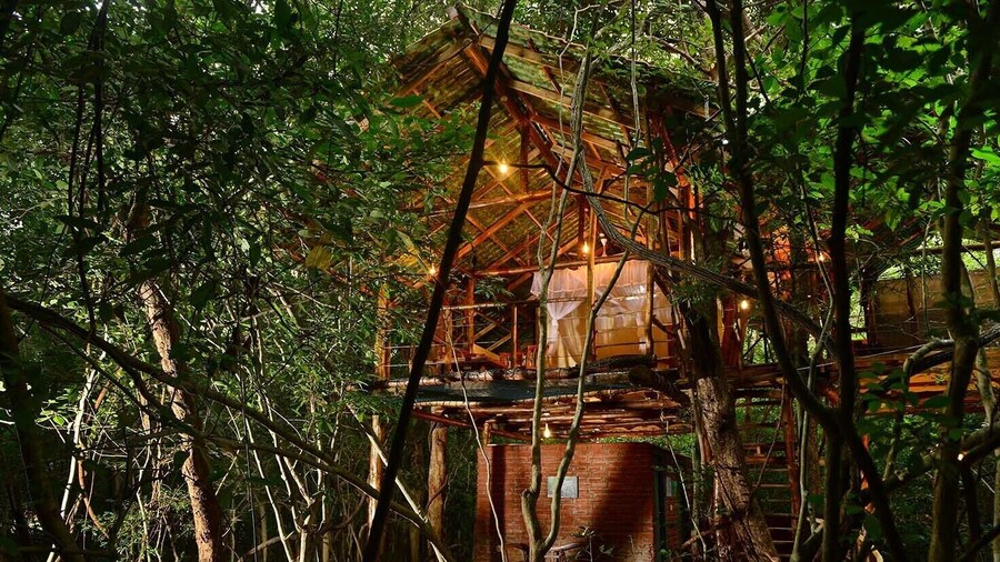 Back of Beyond - Pidurangala