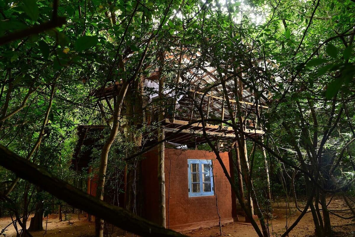 A rustic, single-story structure surrounded by dense foliage, with a visible window and a partially constructed roof.