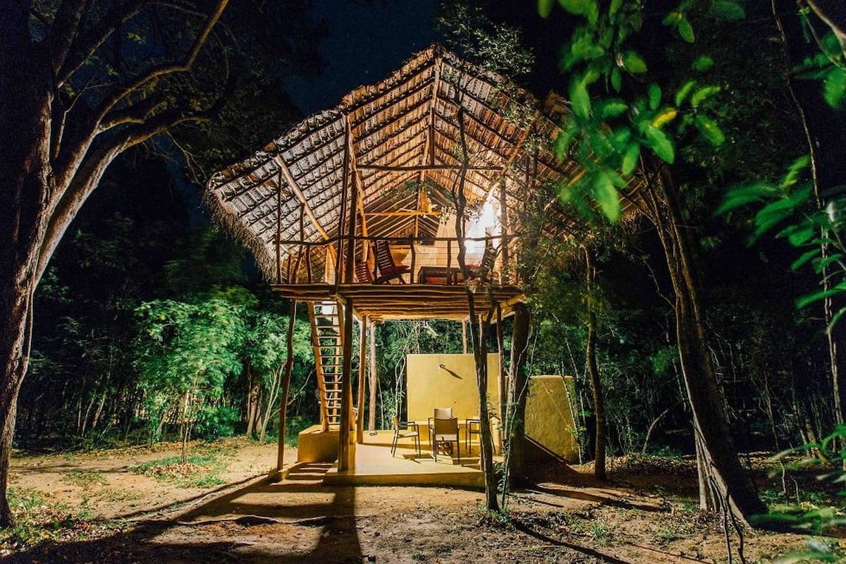 A thatched-roof structure in a forest, with a ladder leading to an upper level and a bench at the entrance.