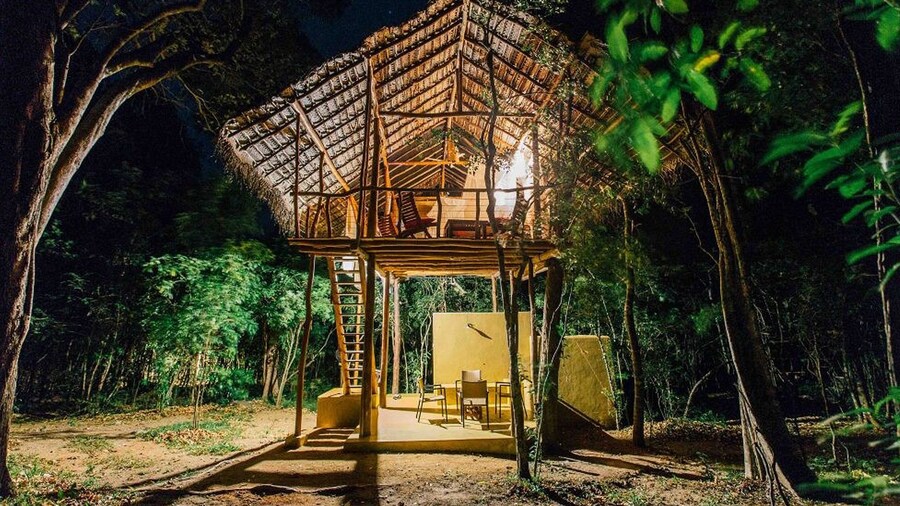 Back of Beyond - Pidurangala