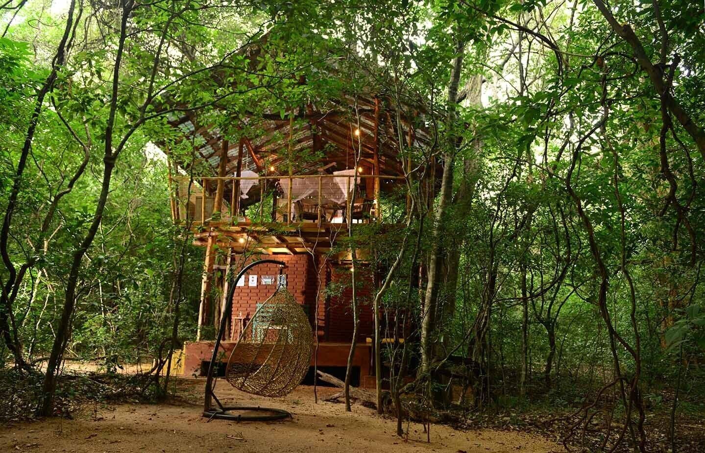 A treehouse structure with a wooden exterior, surrounded by dense forest.