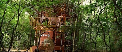 A treehouse structure with a wooden exterior, surrounded by dense forest.