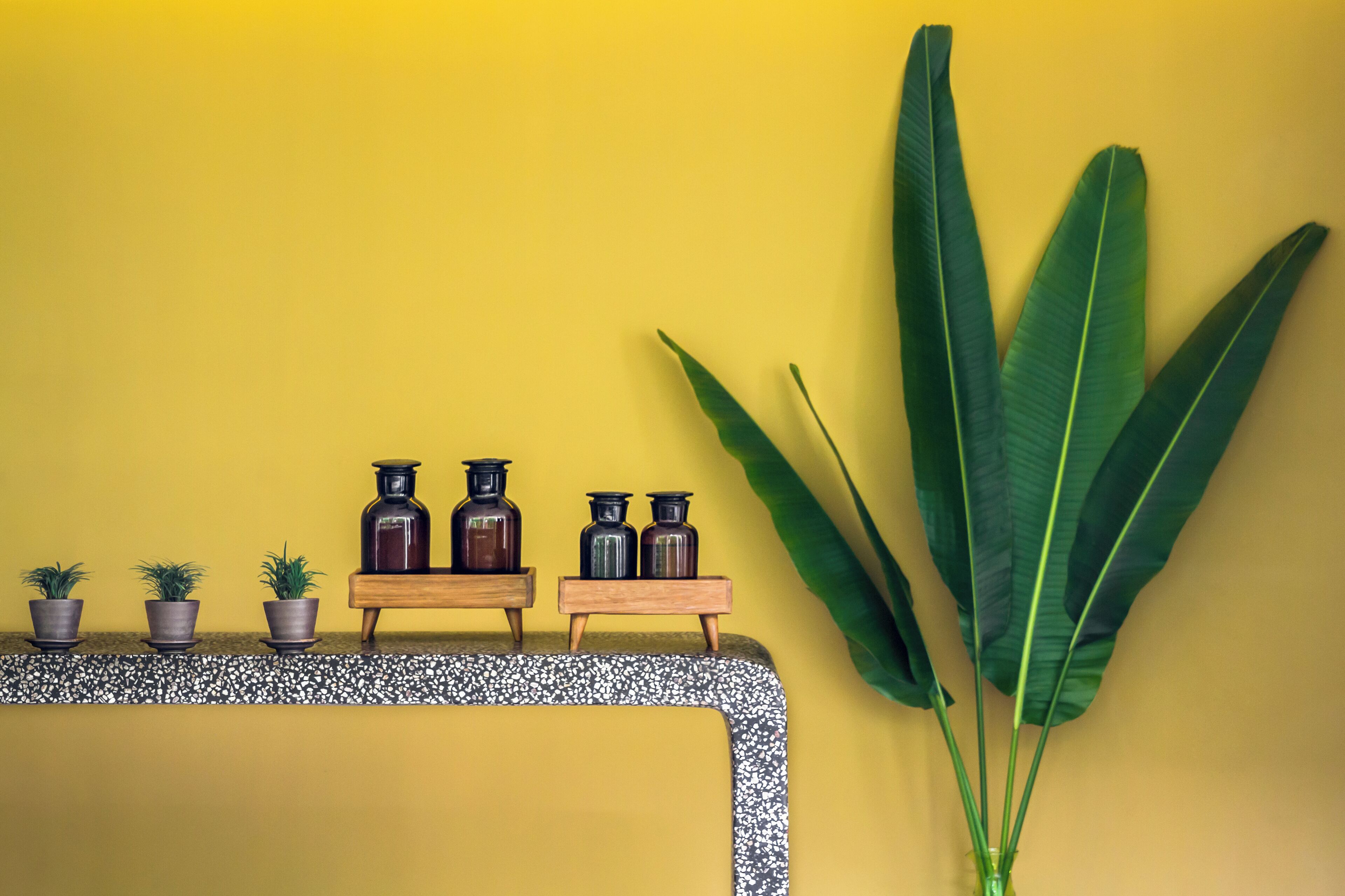 Una estantería con plantas en macetas y jarrones frente a una pared amarilla.