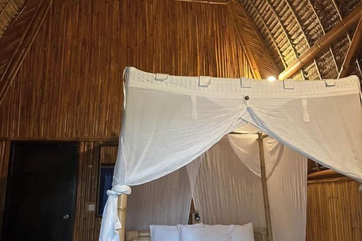 Individually decorated, individually furnished, blackout curtains