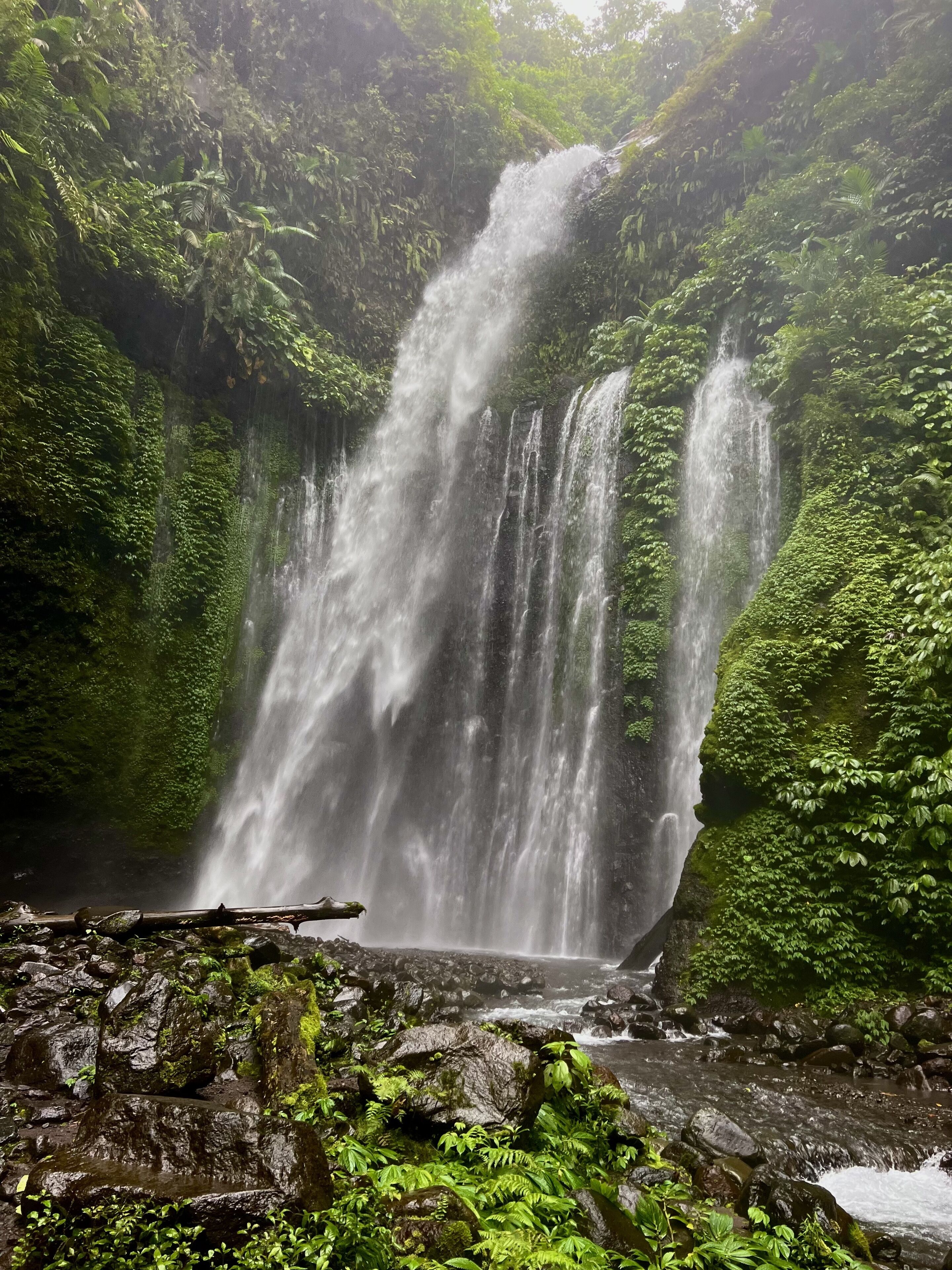 A waterfall surrounded by lush greenery.