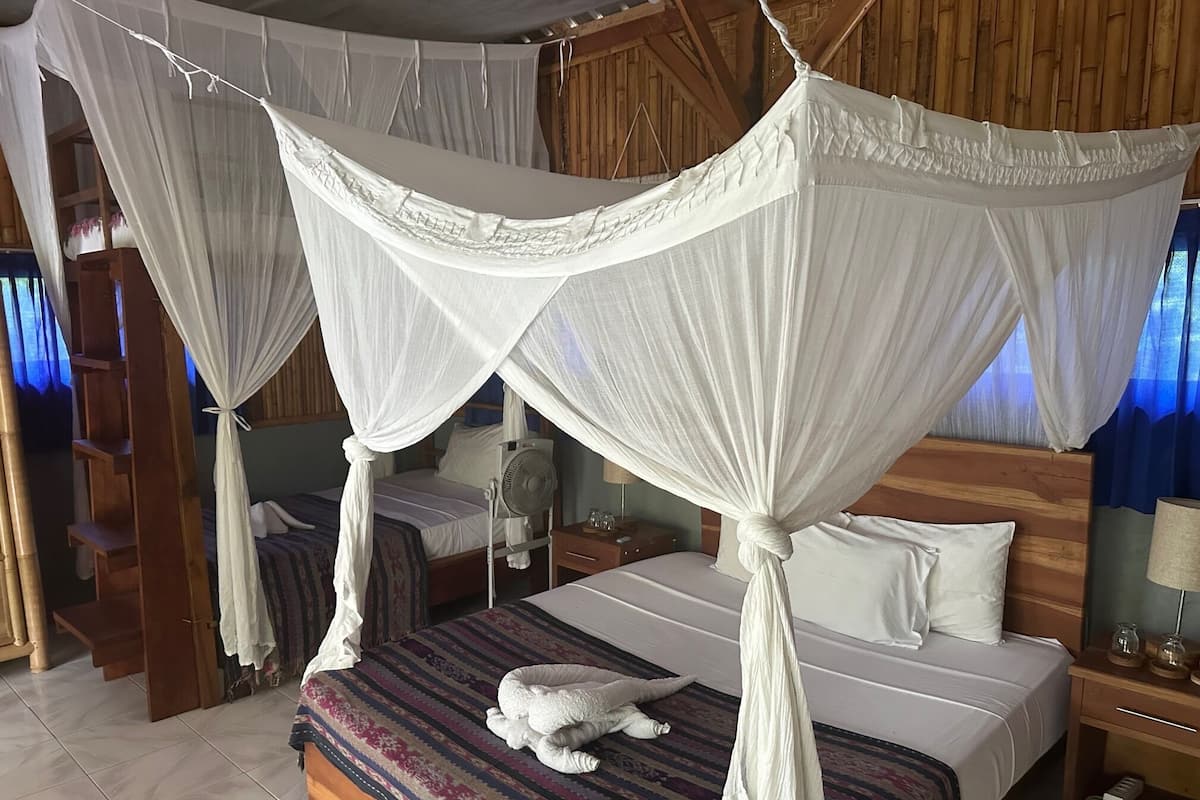 Chambre Économique avec lits jumeaux | Décoration personnalisée, ameublement personnalisé, rideaux occultants