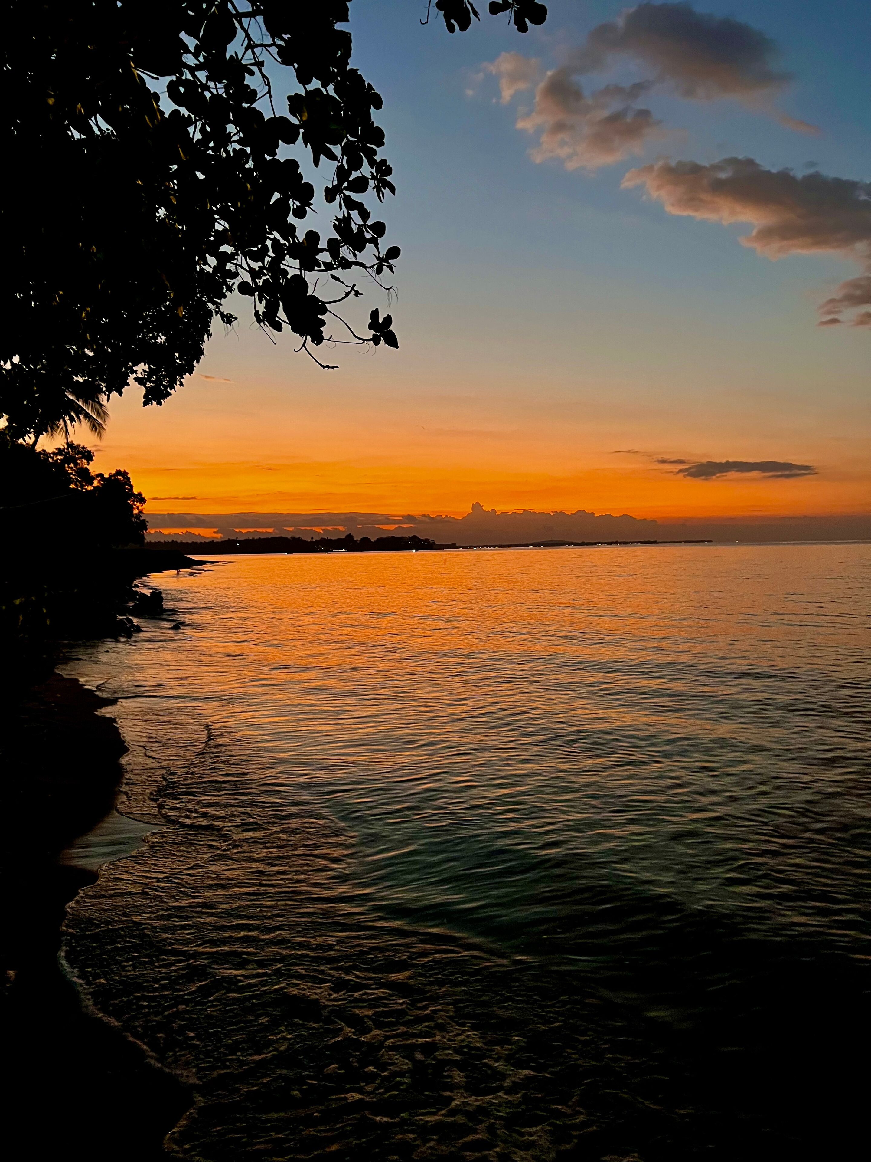 Pôr do sol costeiro com silhuetas de árvores e uma linha de costa distante.