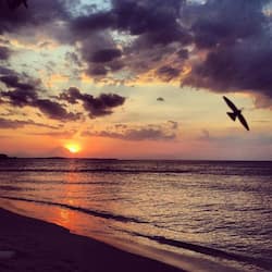 Pantai persendirian, pasir hitam, tuala pantai, urut tepi pantai