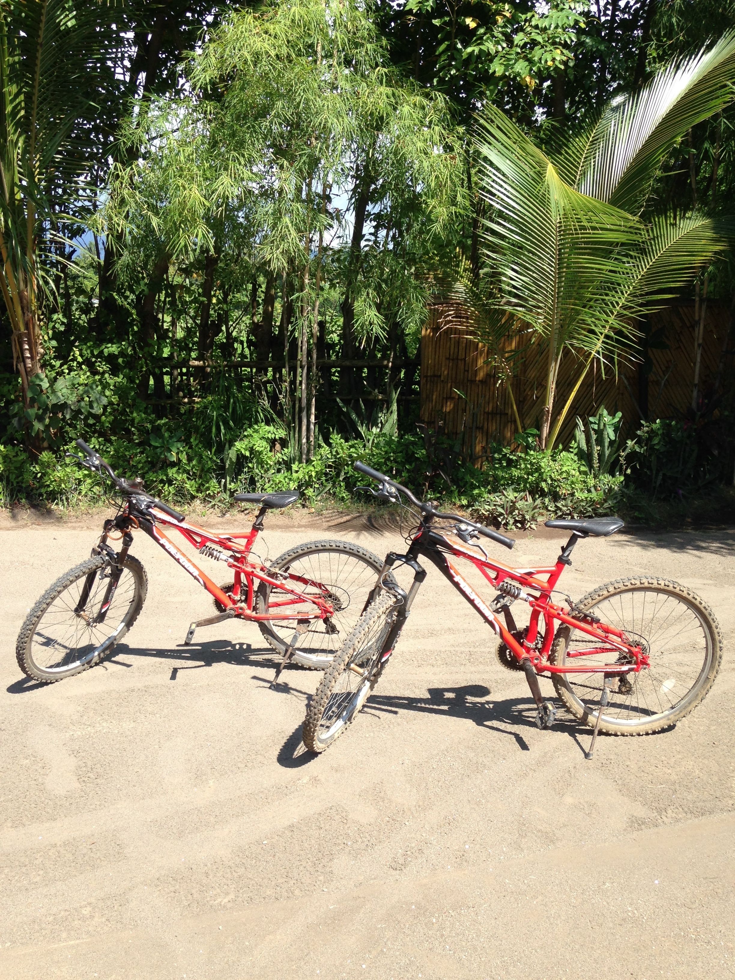 Two bicycles parked on a dirt path surrounded by dense tropical vegetation.