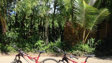 Two bicycles parked on a dirt path surrounded by dense tropical vegetation.