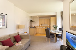 Televisión de pantalla plana