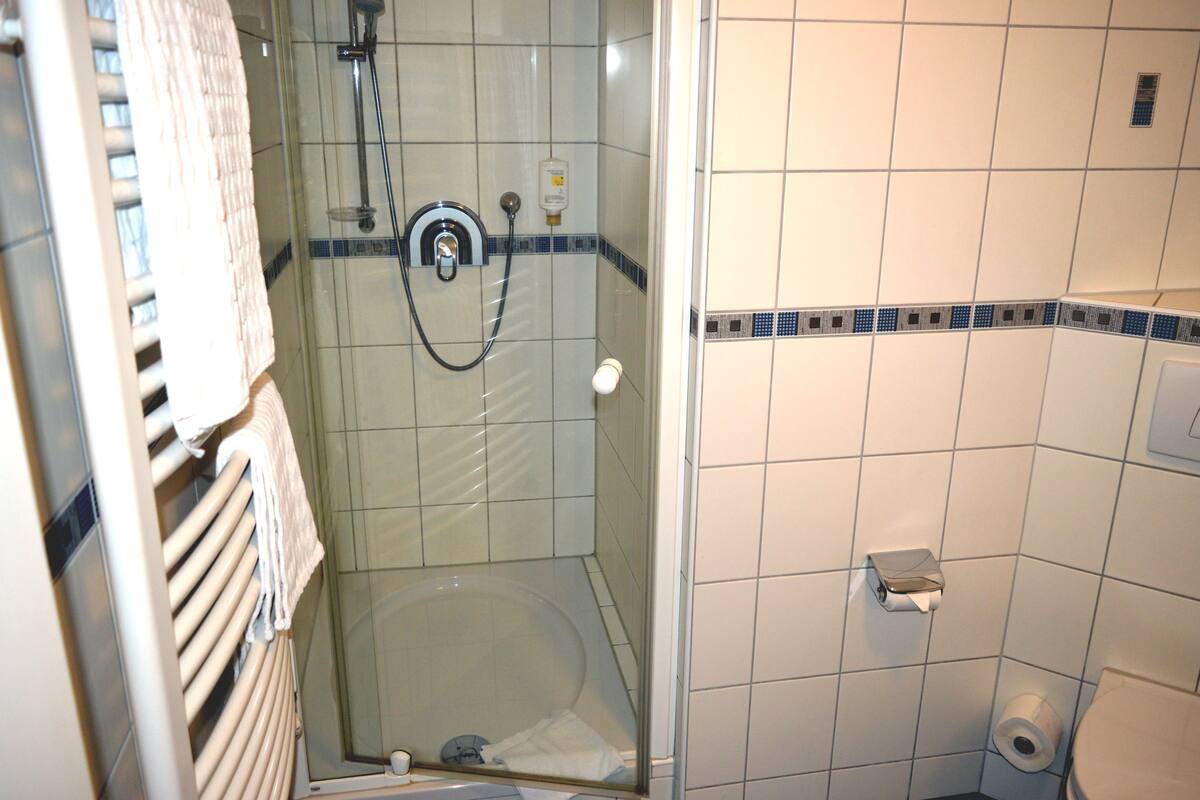 Kylpyhuoneessa on lasiseinällä varustettu suihku, wc ja pyyhekoukku.