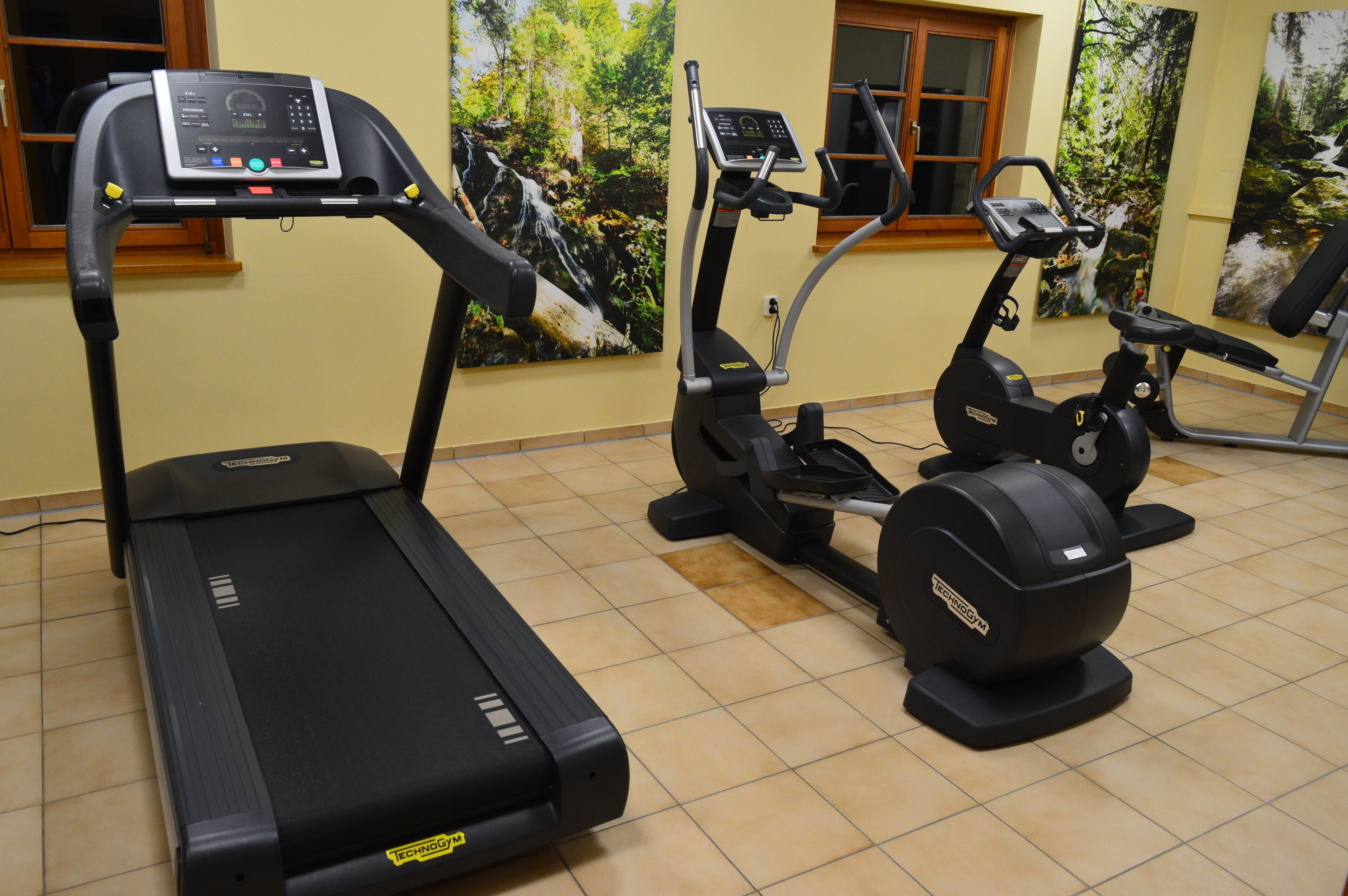 Ein Fitnessraum mit Laufband, Crosstrainer und Hometrainer, mit Fenster und einem Wandbild einer Waldszene.