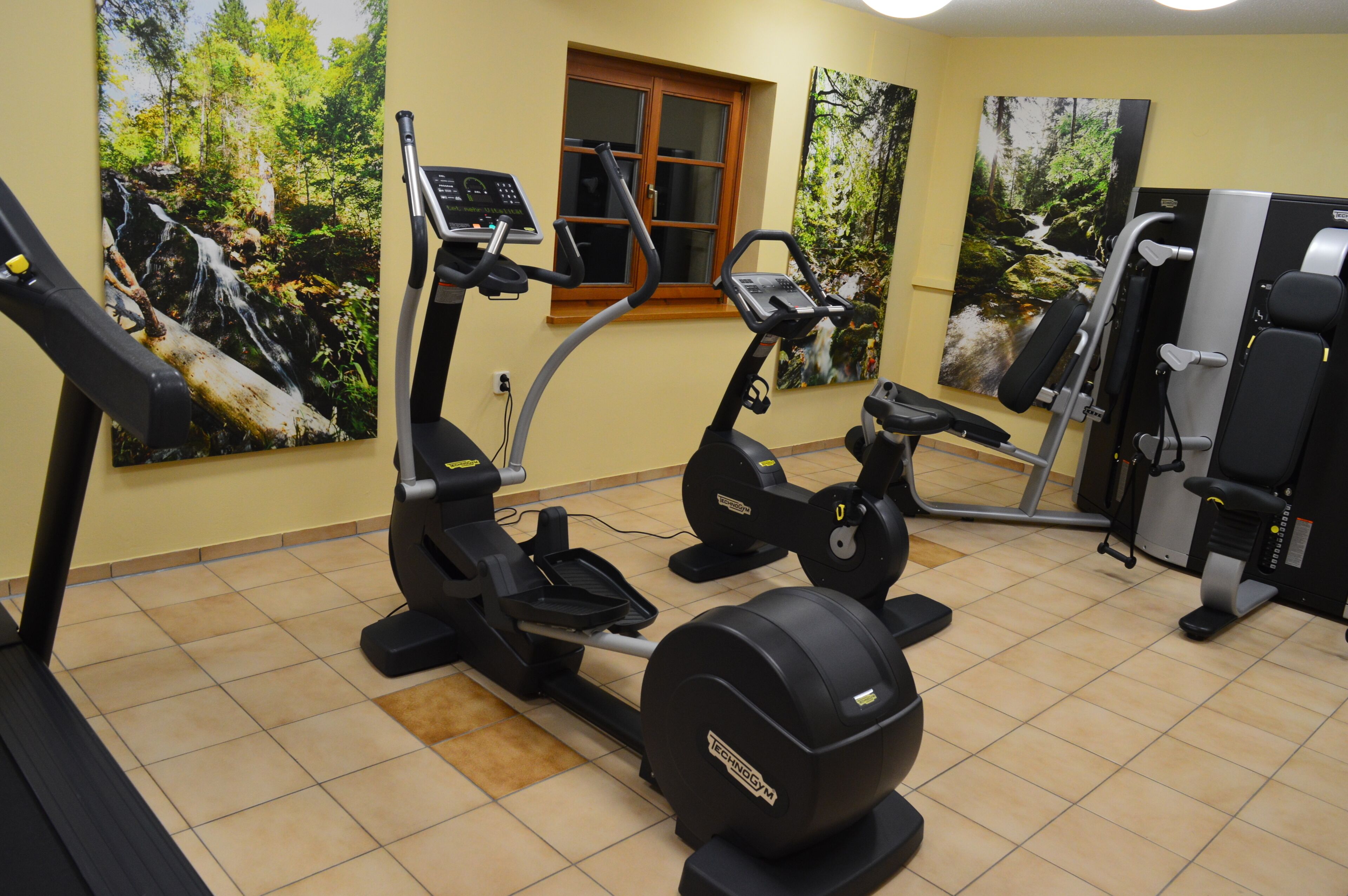 A gym with stationary bikes, an elliptical, and a weight machine.