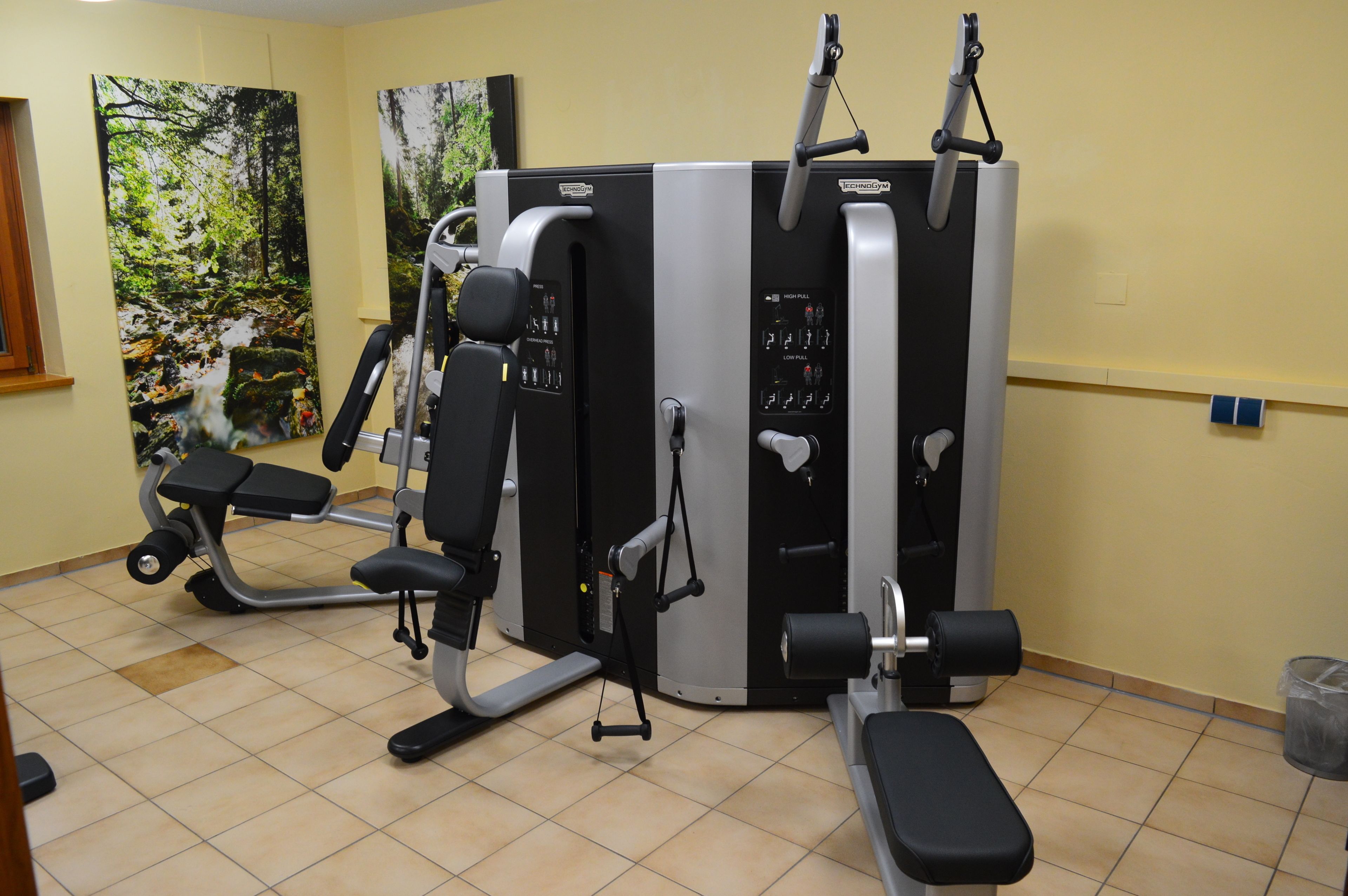 A gym with various exercise machines, a bench, and a wall with a nature-themed painting.