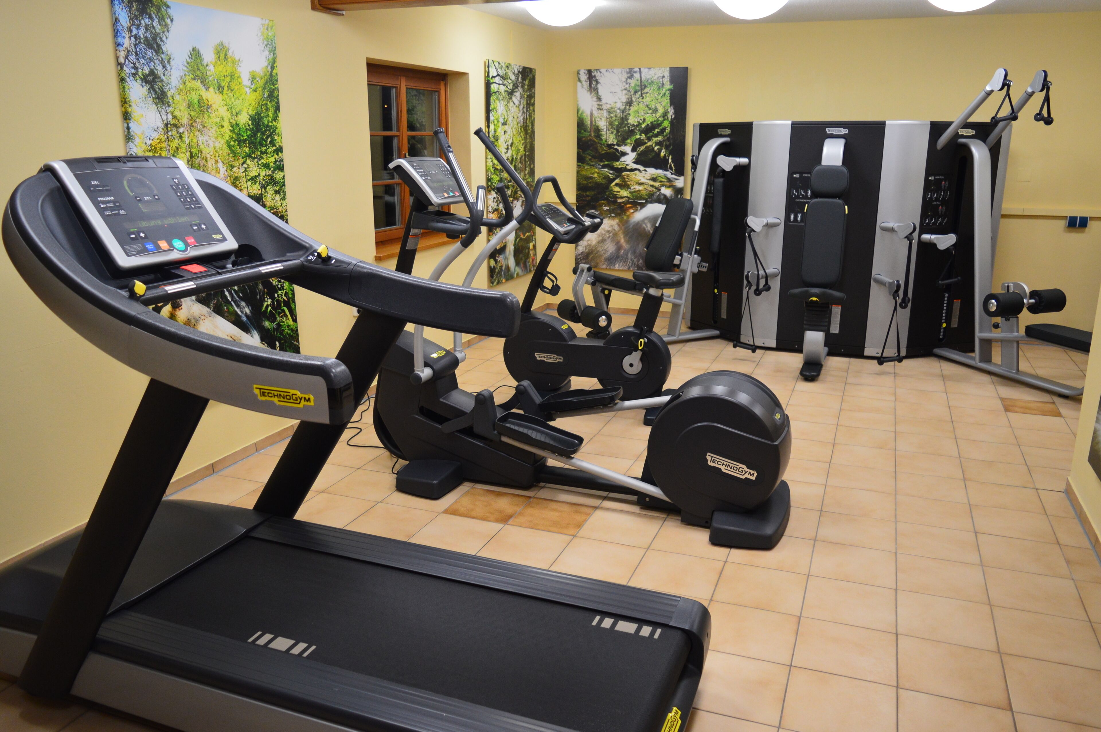 A gym with a treadmill, elliptical, and weight machines.