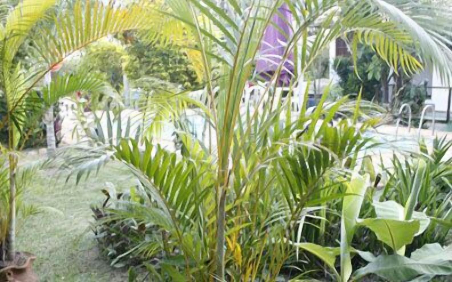 Foto - Pousada do Marujo