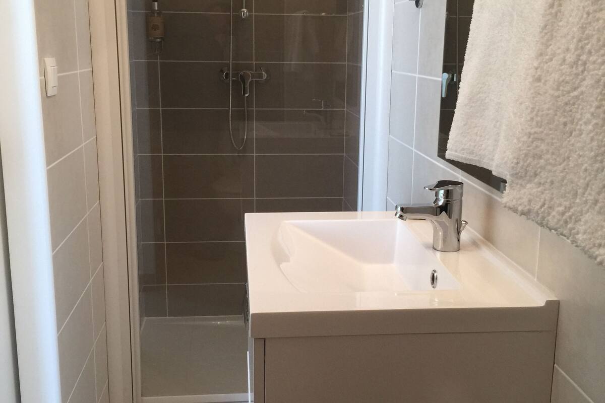 shower, free toiletries, hair dryer, towels