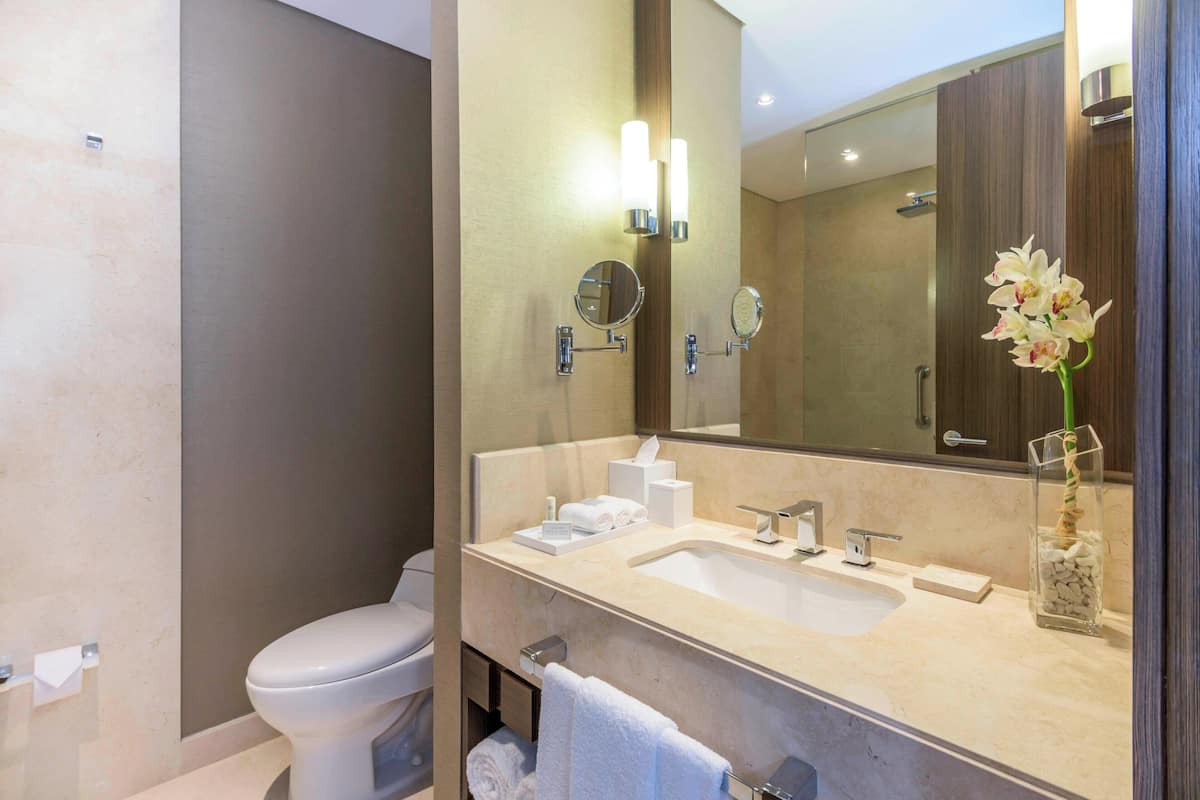 shower, designer toiletries, hair dryer, towels